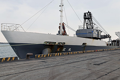 �ʐ^�F�ݕ��D���L��