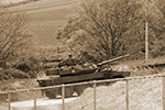 �C�e�j��